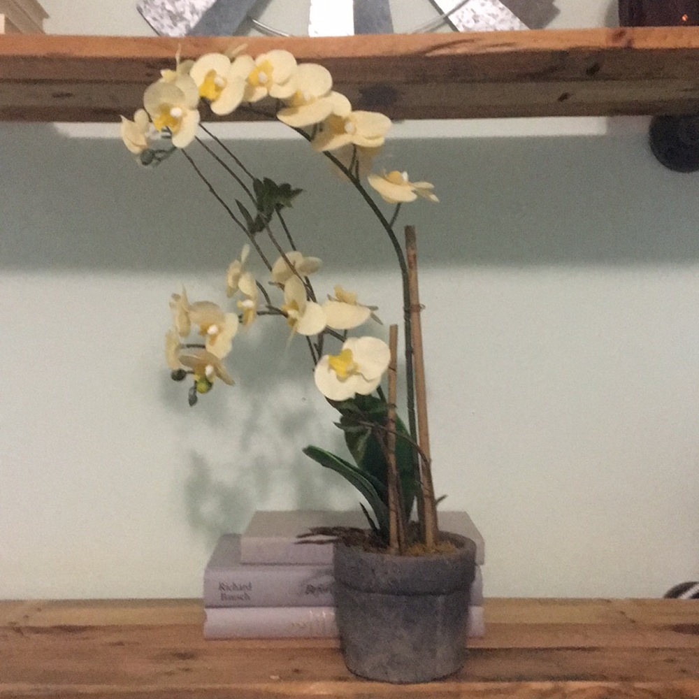 Faux orchid